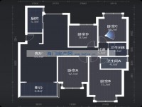 其它图