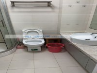其它图
